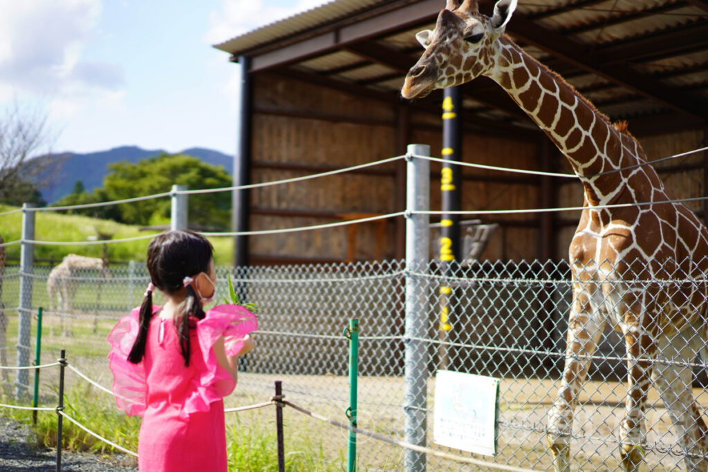 秋吉台自然動物公園サファリランド