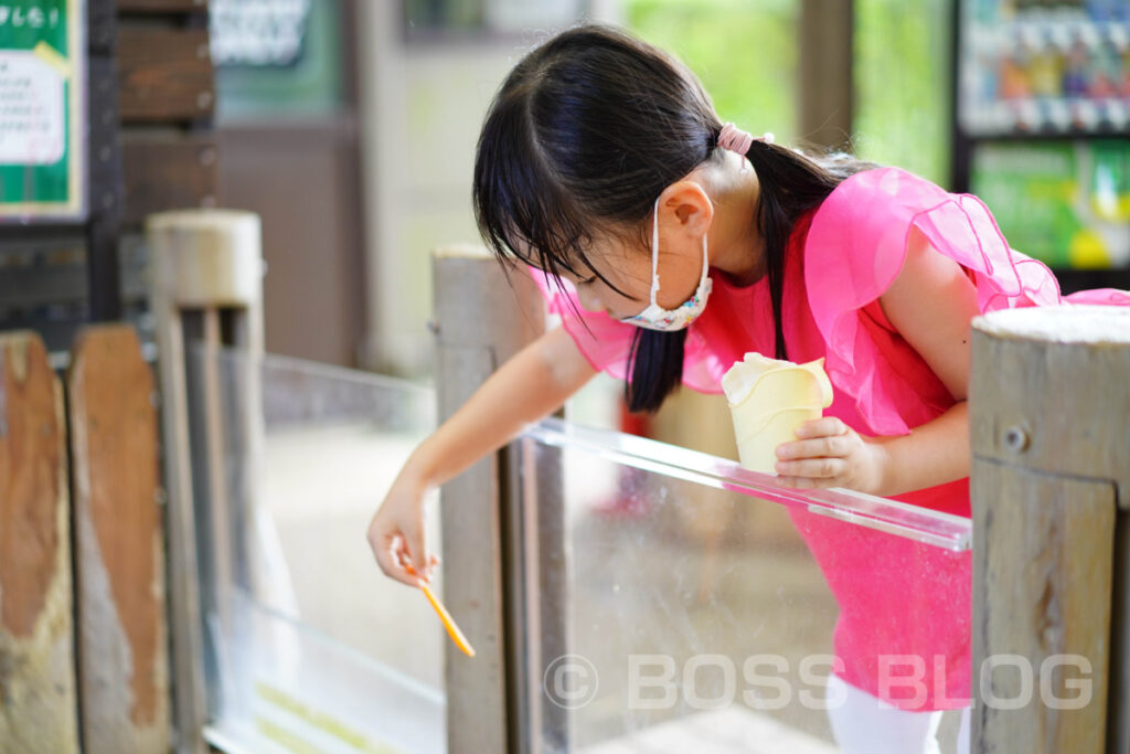 秋吉台自然動物公園サファリランド