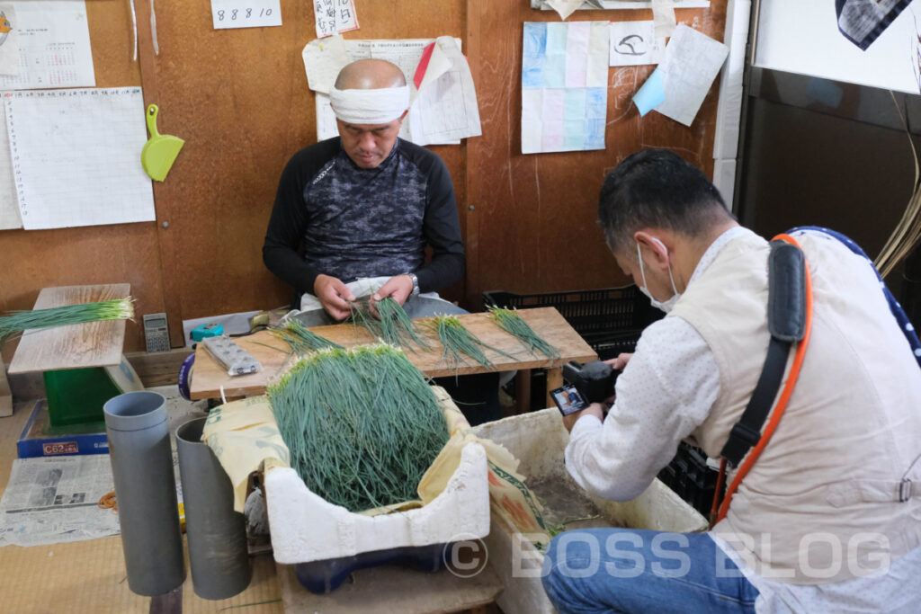 JA山口県・下関ねぎ・福ねぎ