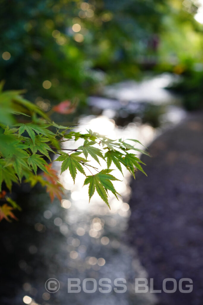 湯布院