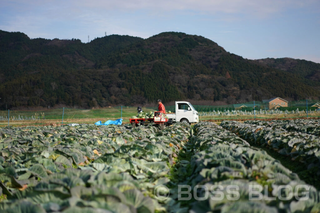 菊川キャベツ・中野夫妻