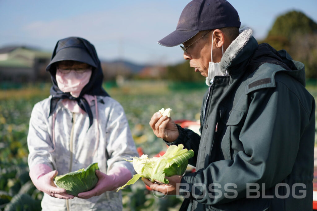 菊川キャベツ・中野夫妻