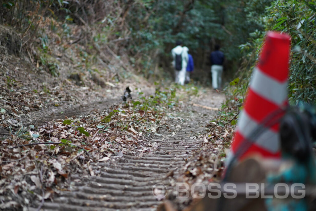 山口県西部森林組合