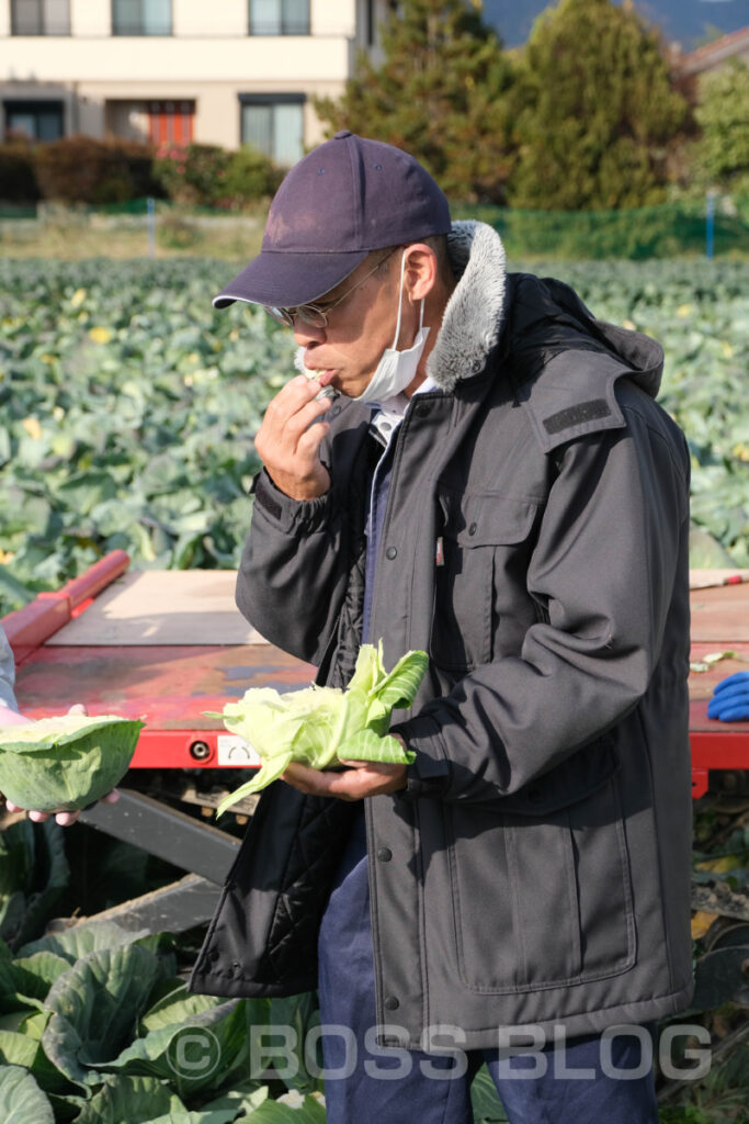 菊川キャベツ・中野夫妻