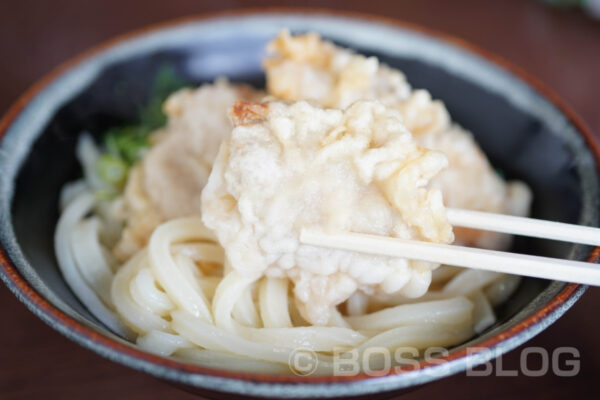 はるやうどん