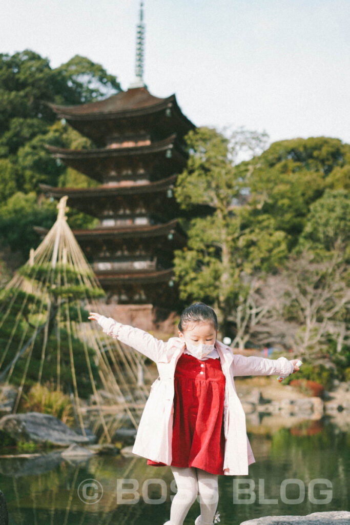 国宝瑠璃光寺五重塔