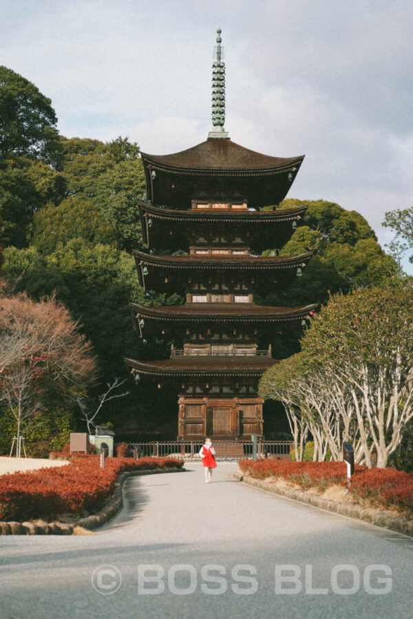 国宝瑠璃光寺五重塔