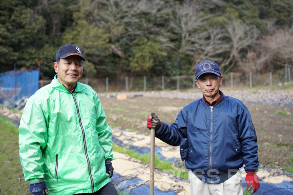 吉田のサトイモ・JA山口県下関吉田園芸組合さといも部会