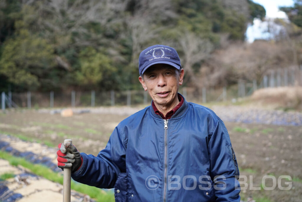 吉田のサトイモ・JA山口県下関吉田園芸組合さといも部会