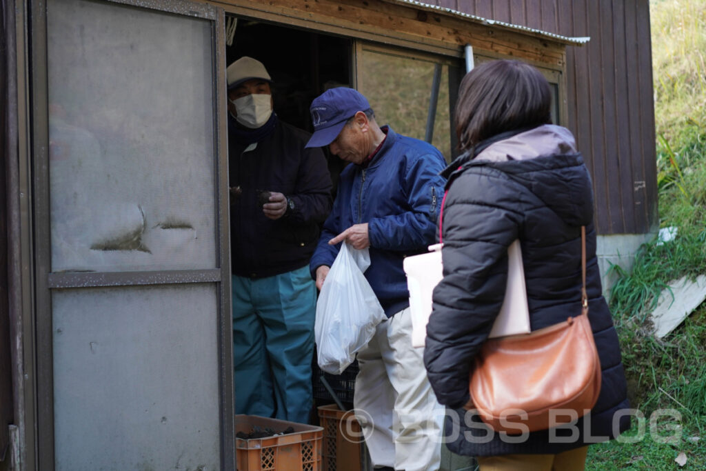 吉田のサトイモ・JA山口県下関吉田園芸組合さといも部会