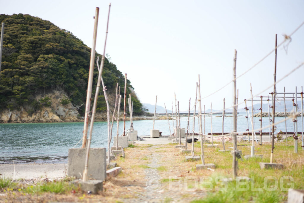 だるま堂・魚礁