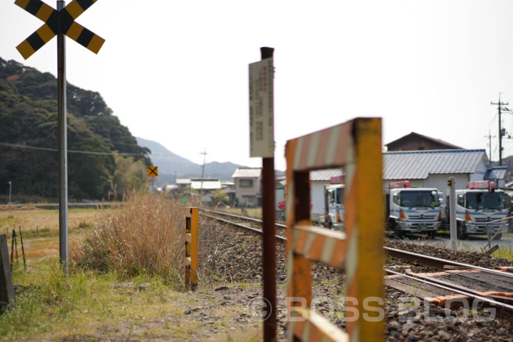 だるま堂・魚礁