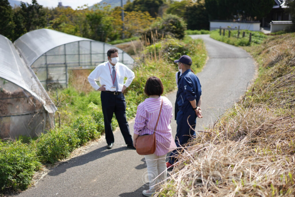 下関垢田トマト