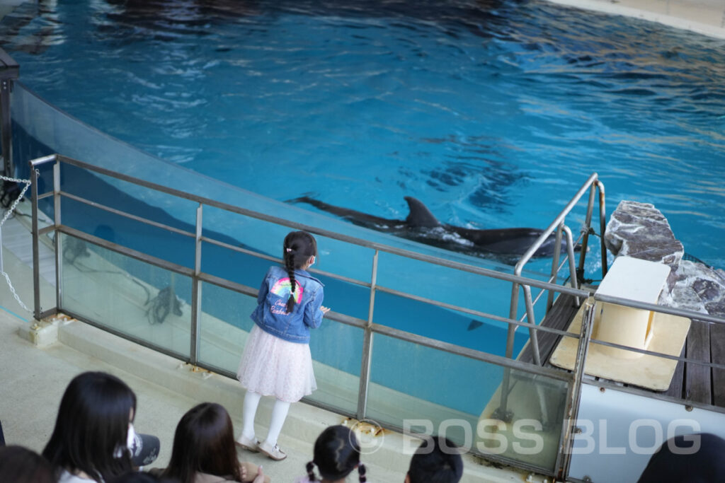 市立しものせき水族館 海響館