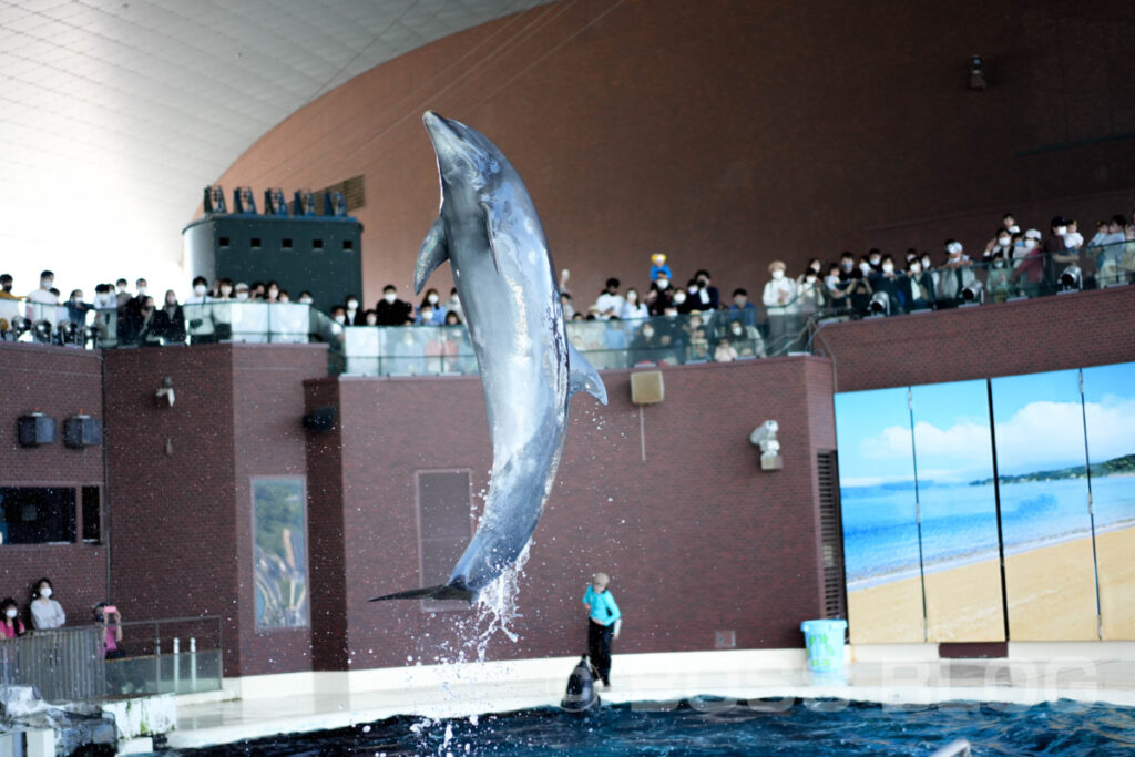 市立しものせき水族館 海響館