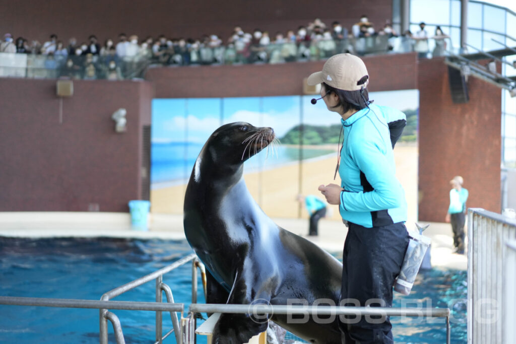 市立しものせき水族館 海響館