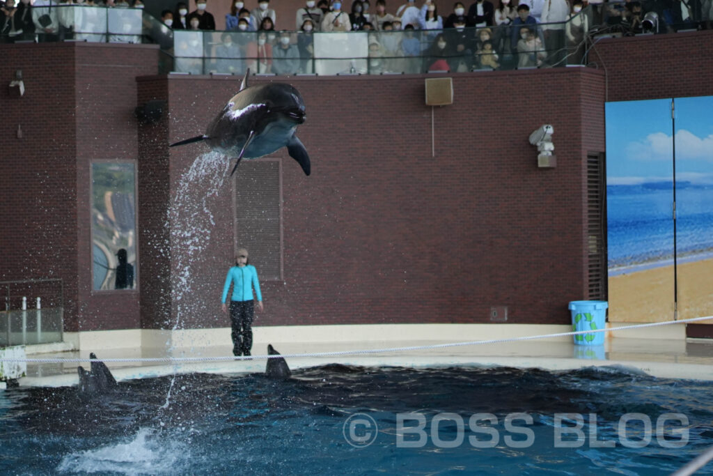 市立しものせき水族館 海響館