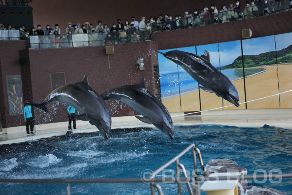 市立しものせき水族館 海響館