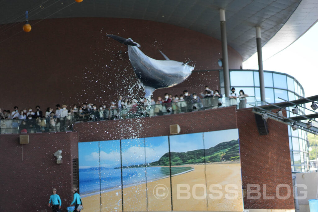 市立しものせき水族館 海響館