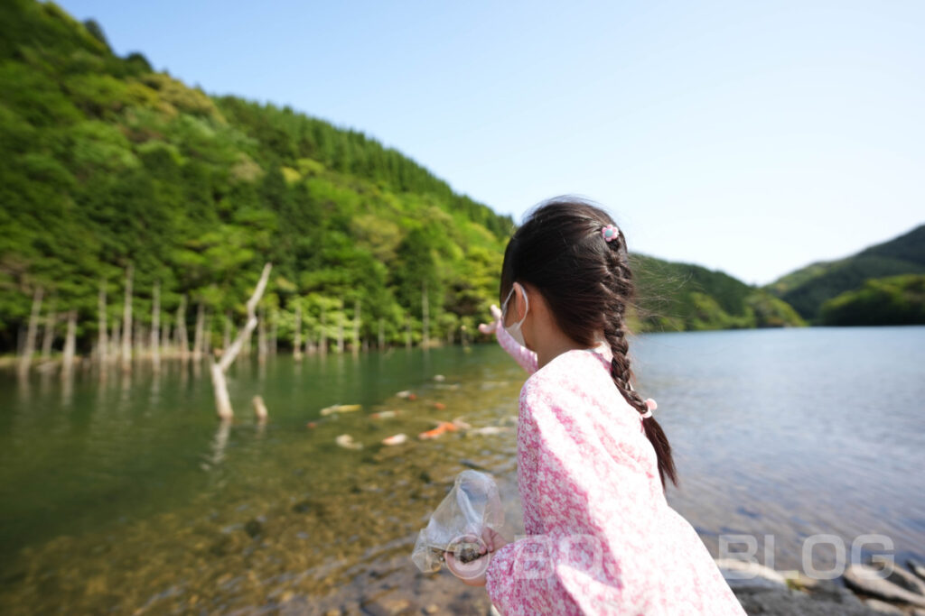 一の俣桜公園（水没林）