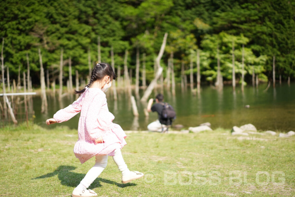 一の俣桜公園（水没林）