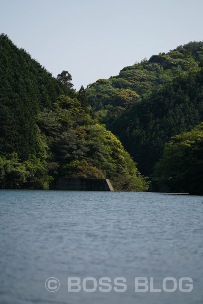 一の俣桜公園（水没林）