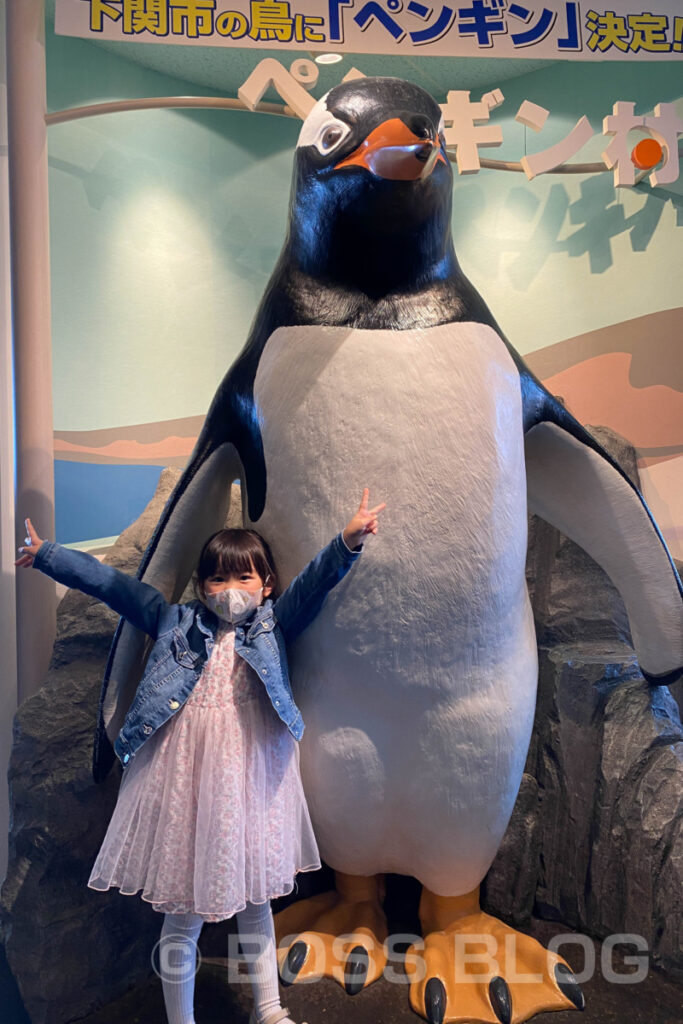 市立しものせき水族館 海響館