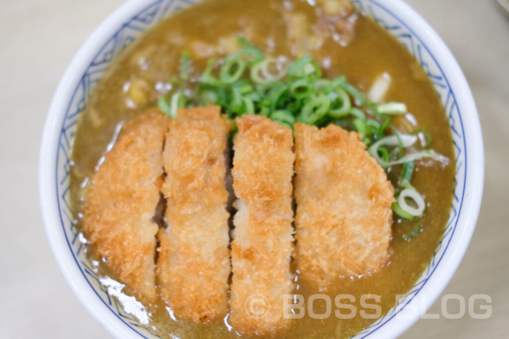 どんどん武久店・カツカレーうどん