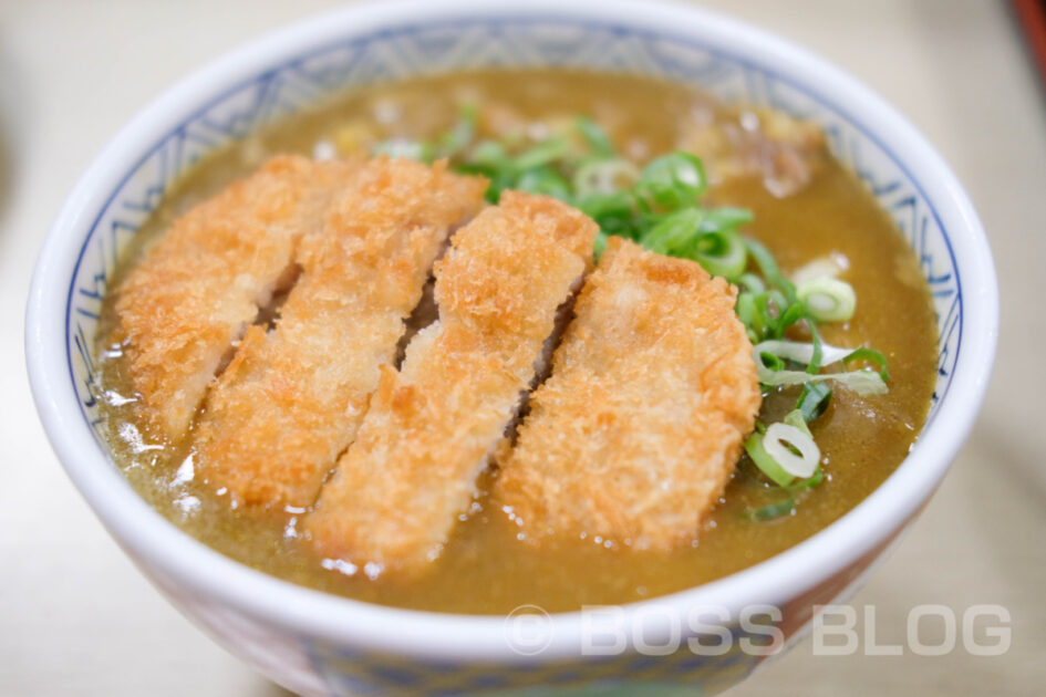 どんどん武久店・カツカレーうどん