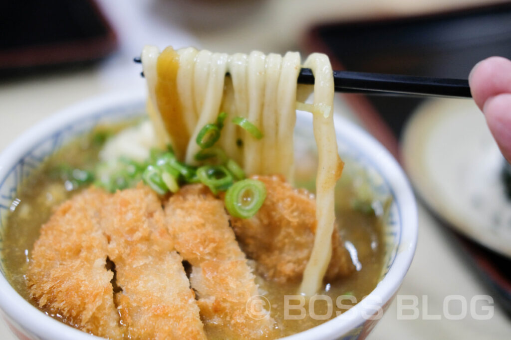 どんどん武久店・カツカレーうどん