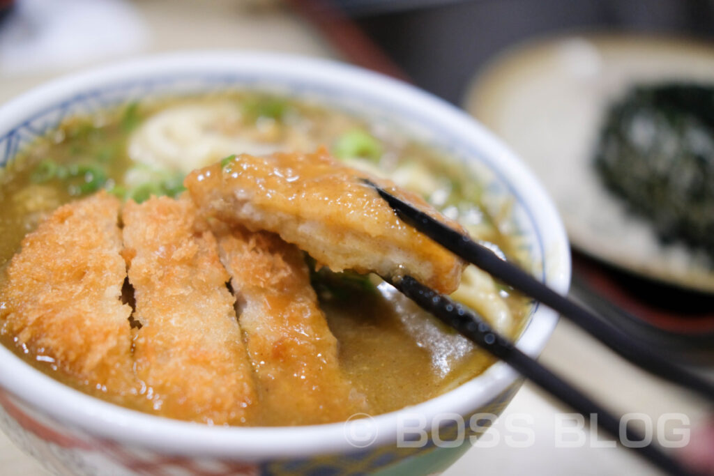 どんどん武久店・カツカレーうどん