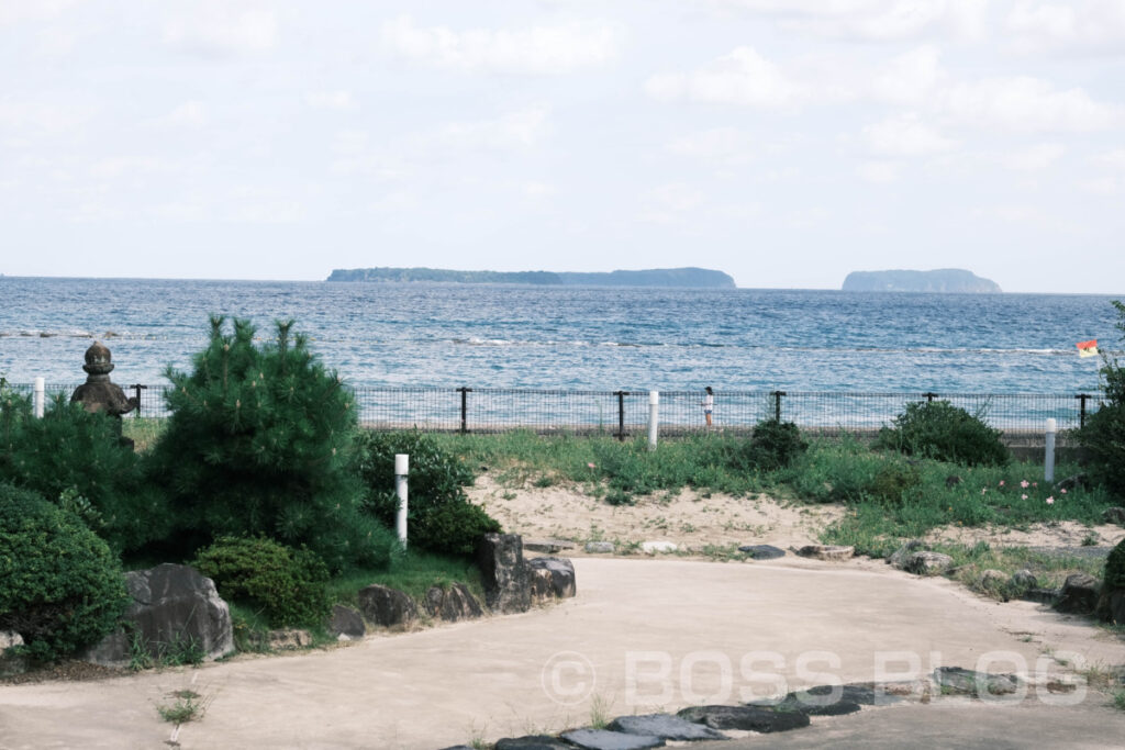 宵待ちの宿 萩一輪