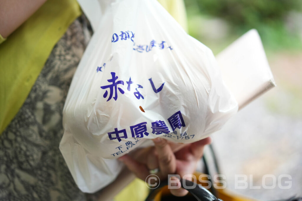 豊北梨・中原農園・寺畑農園・豊北第一農園