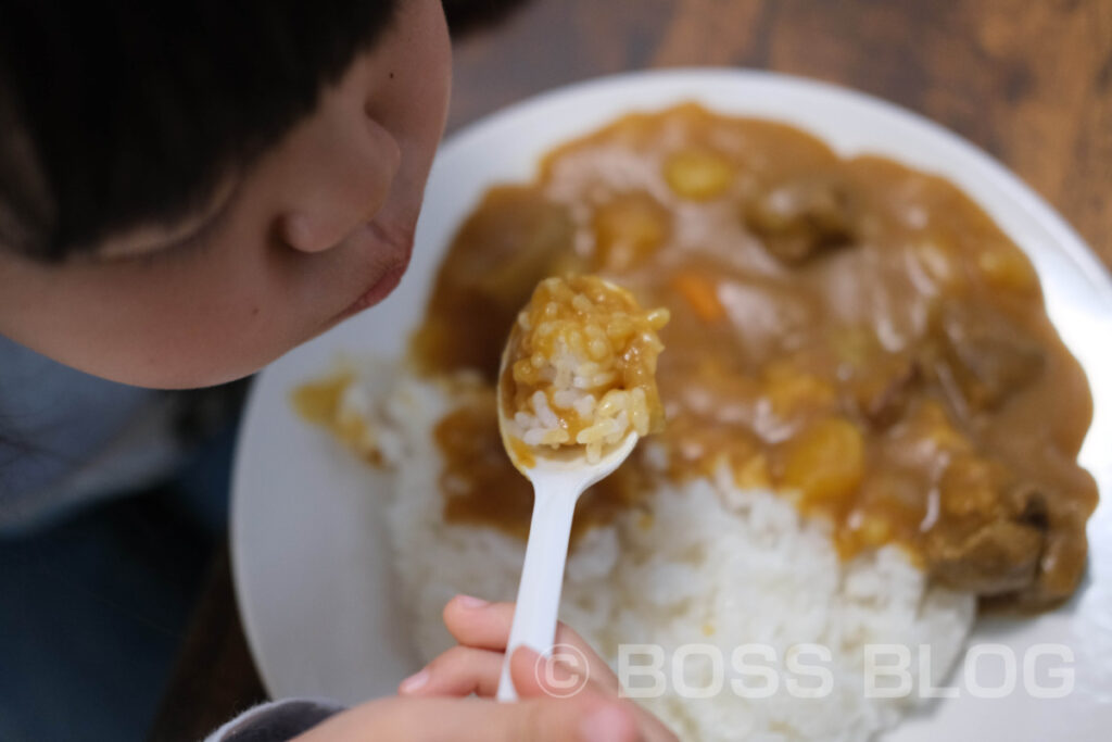 姫ちゃんとカレーづくり