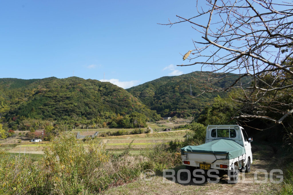 原木椎茸・下関市豊浦町