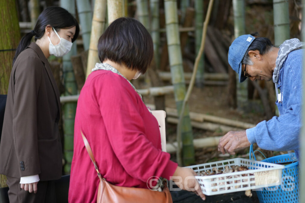 原木椎茸・下関市豊浦町