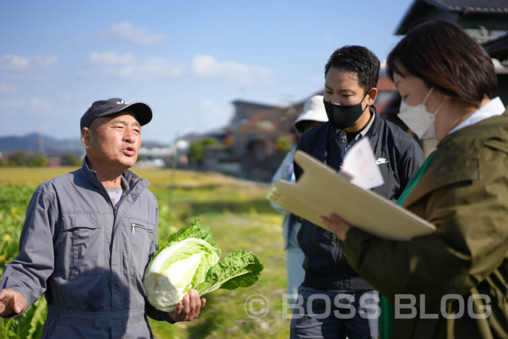 ミニ白菜・JA山口県下関東部営農センター・農事組合法人清末東ファーム