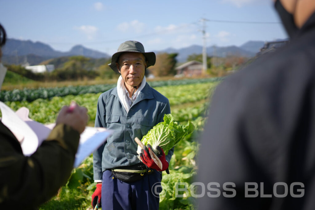 ミニ白菜・JA山口県下関東部営農センター・農事組合法人清末東ファーム