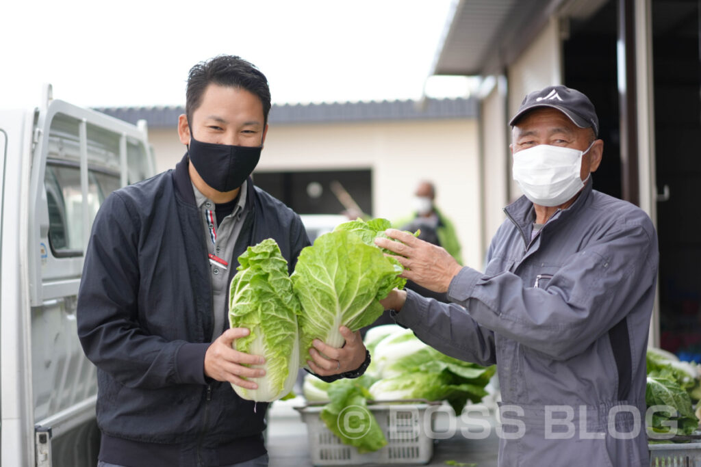 ミニ白菜・JA山口県下関東部営農センター・農事組合法人清末東ファーム