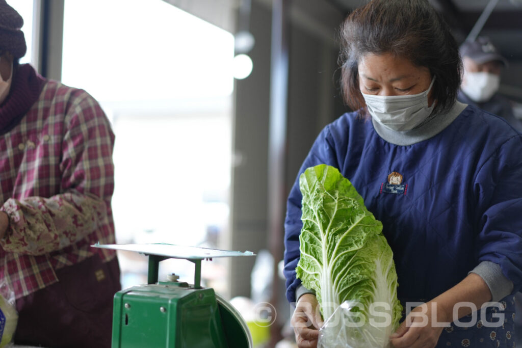 ミニ白菜・JA山口県下関東部営農センター・農事組合法人清末東ファーム