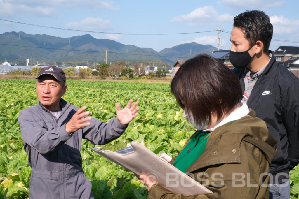 ミニ白菜・JA山口県下関東部営農センター・農事組合法人清末東ファーム