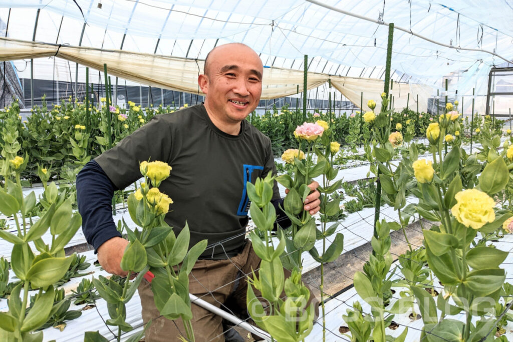 野村農園・下関合同花市場スペース ア’アラ・菓子工房na.nan