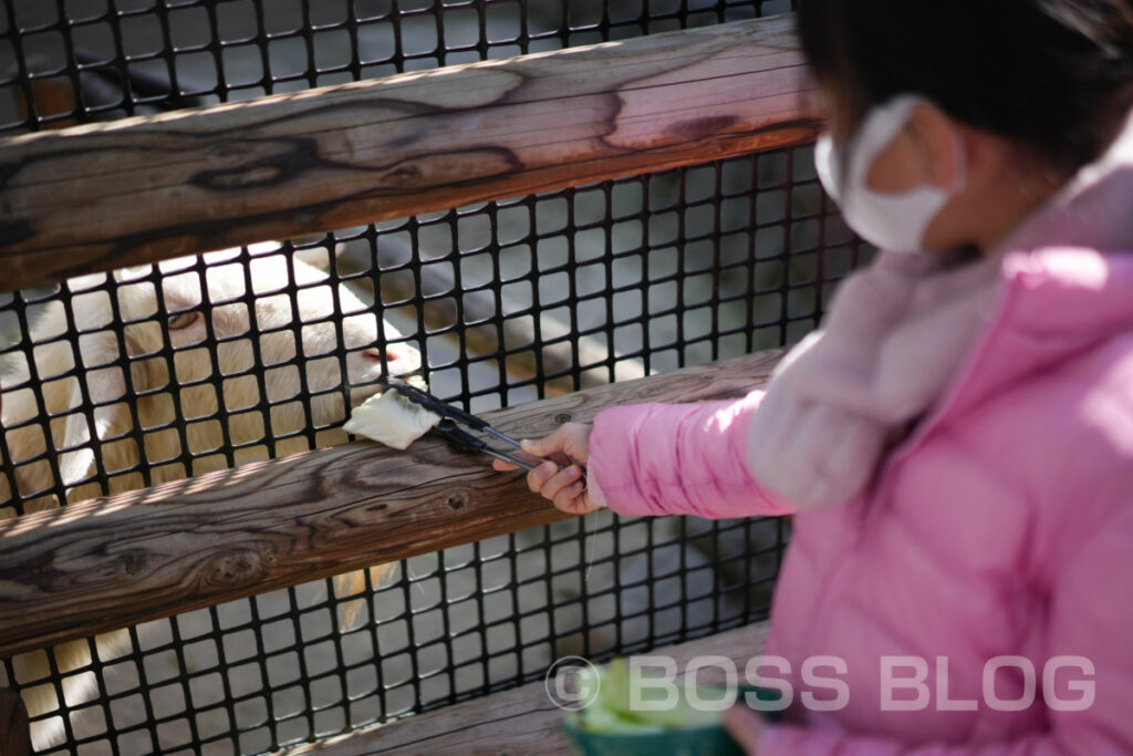 到津の森公園