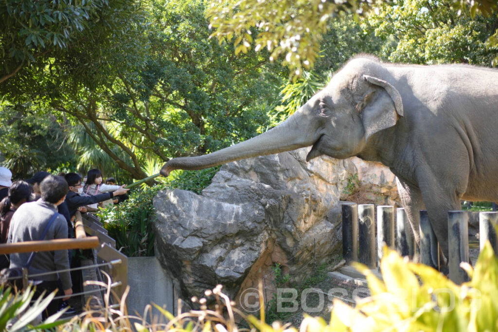 到津の森公園