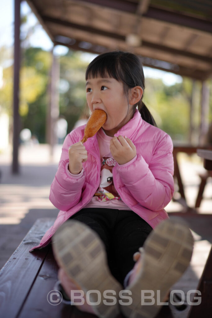 到津の森公園