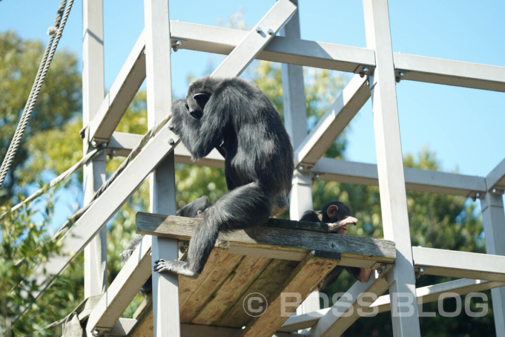 到津の森公園