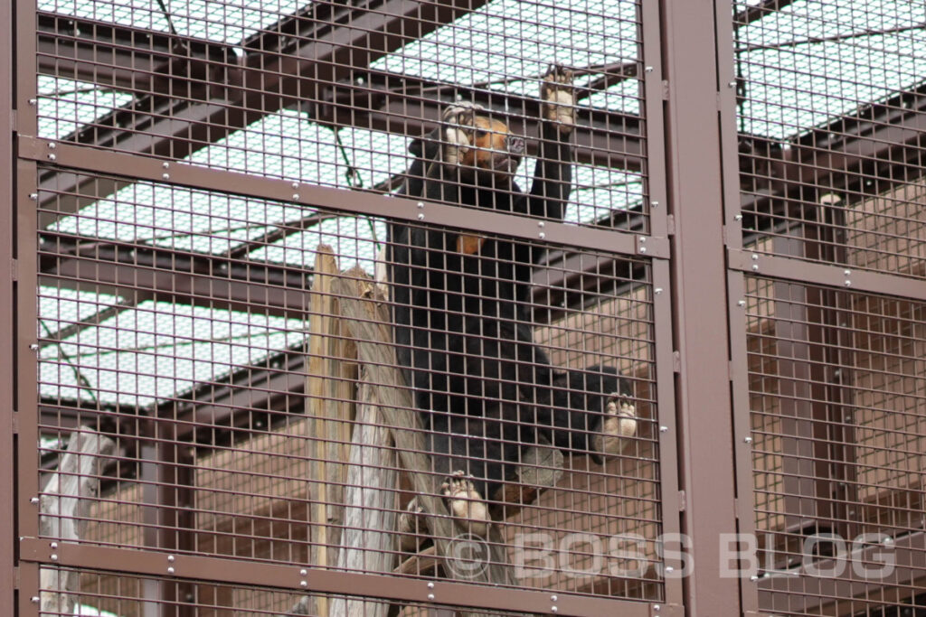 徳山動物園・のん太鮨