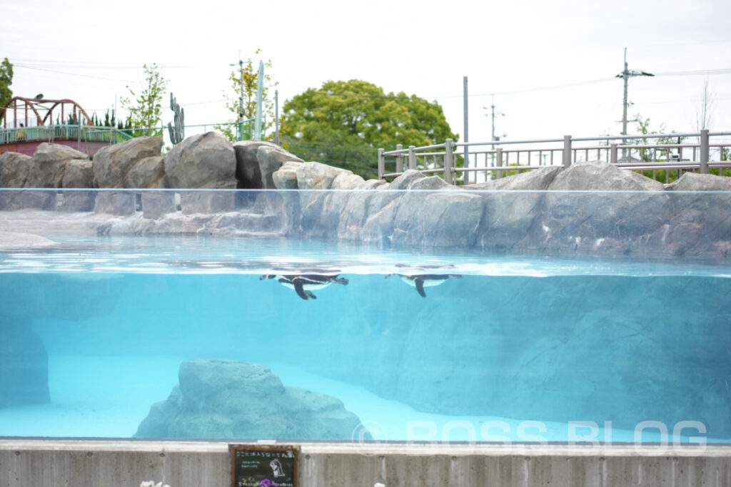 徳山動物園・のん太鮨