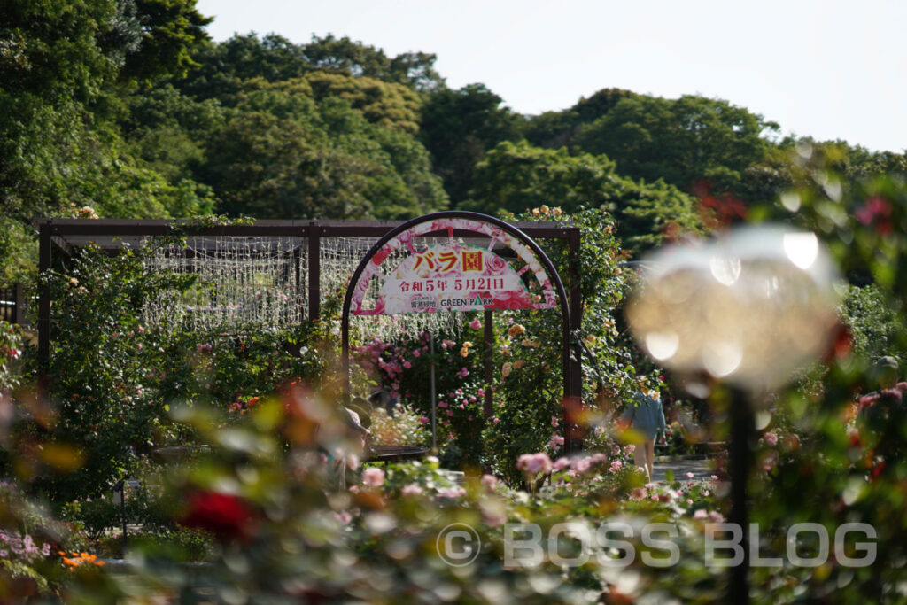 北九州市立響灘緑地・グリーンパーク・バラ園