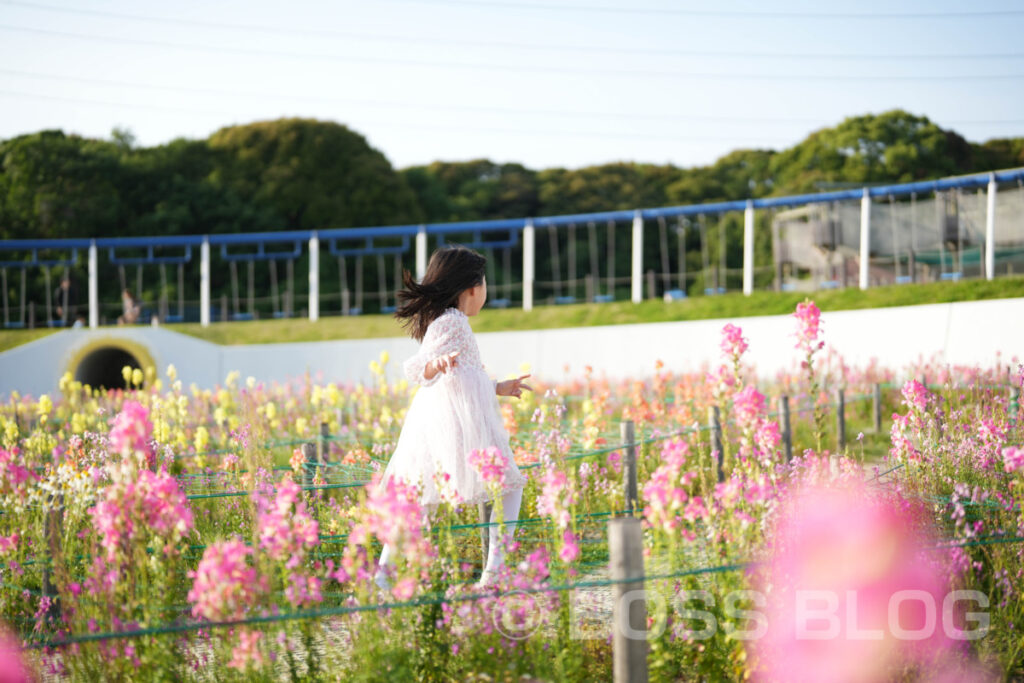 北九州市立響灘緑地・グリーンパーク・バラ園